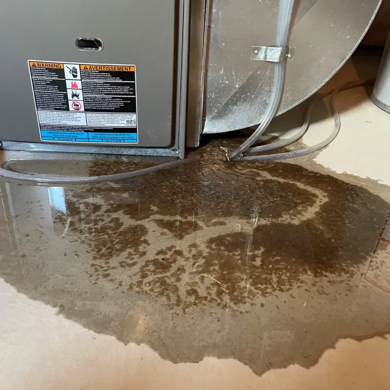 Appliance Leak Cleanup in Lauderdale County, MS